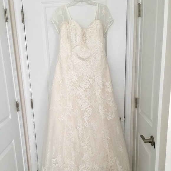 David's Bridal Dresses & Skirts - 16W Ivory Wedding Gown